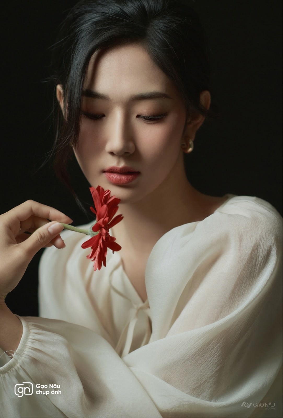 HOA ĐỒNG TIỀN BACK ĐEN-BP06 — Portrait tại Gạo Nâu