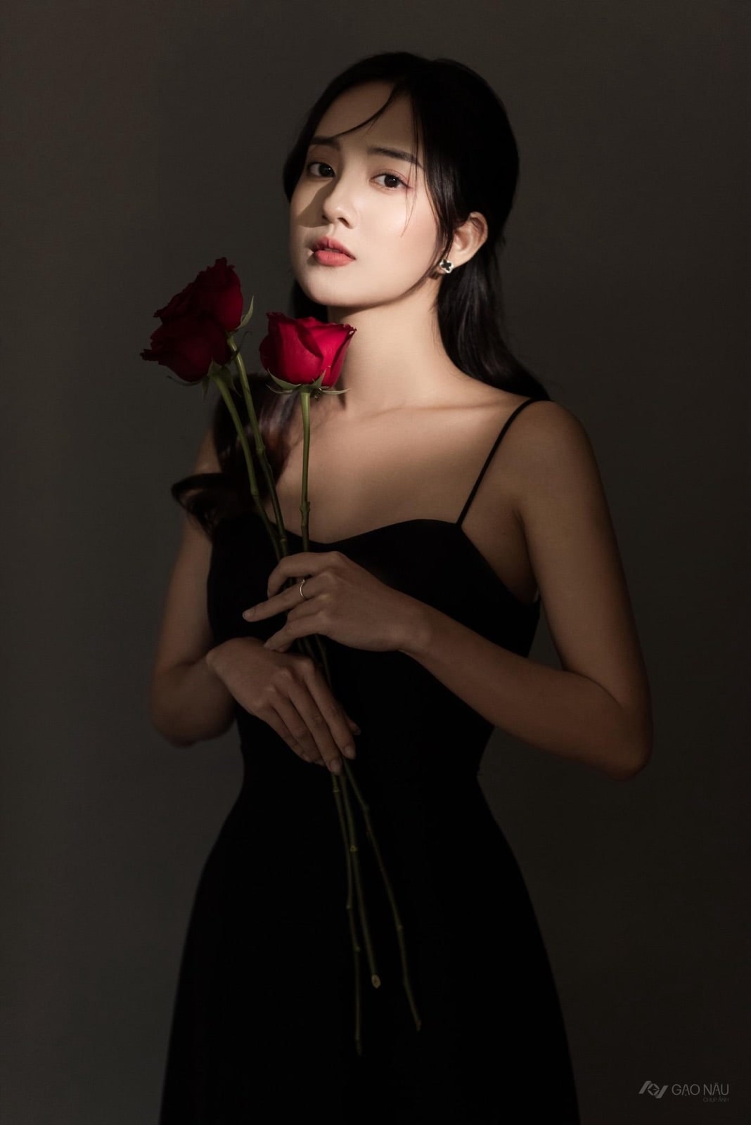ROSE -AP14 — 포트레이트 tại Gạo Nâu