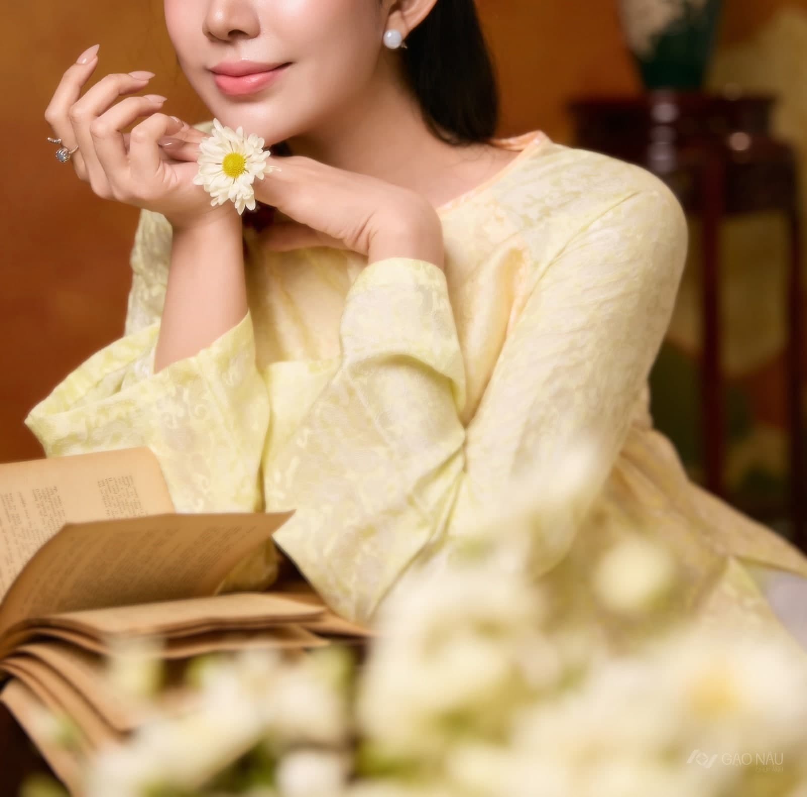 Hoàng Kim Mi — Áo dài (góc 14)