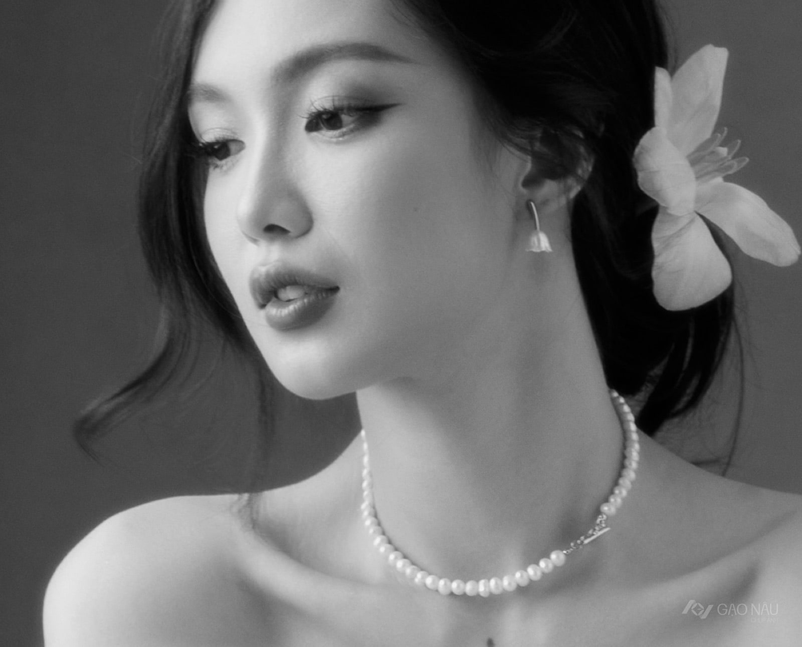 Cá nhân Tulip Rouge — ảnh 2