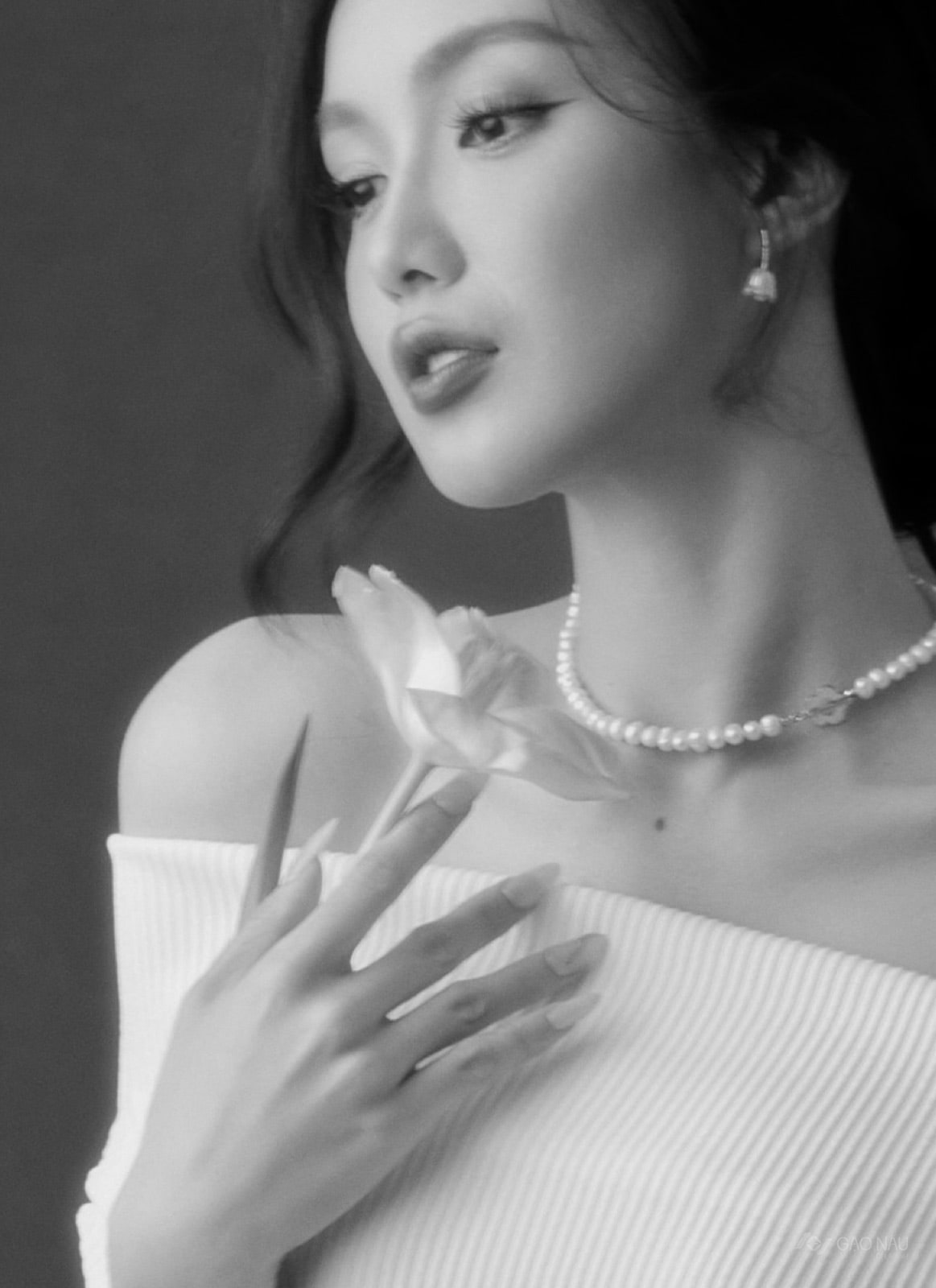 Cá nhân Tulip Rouge — ảnh 9