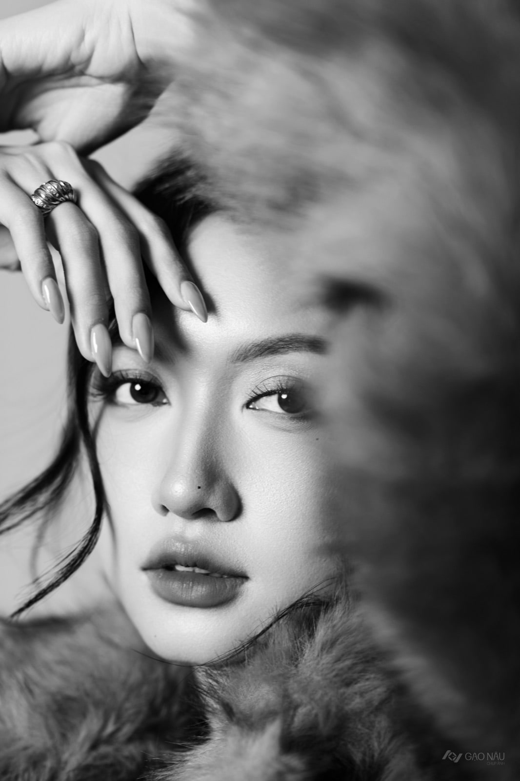 Concept mới 26 Dạ Vũ — ảnh 5