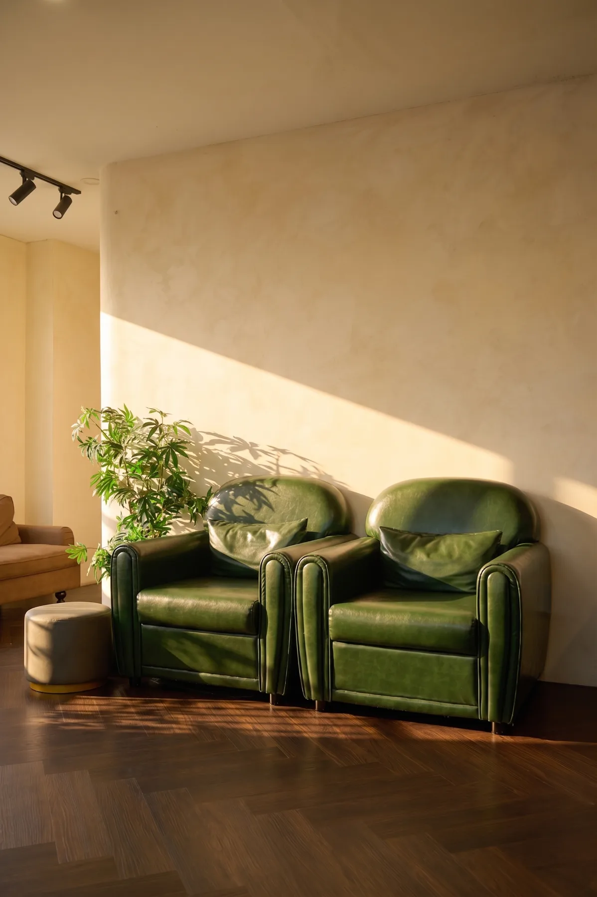 Studio TP Hồ Chí Minh 4